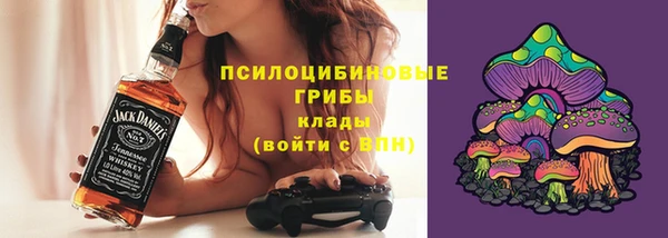 гашик Нефтекумск