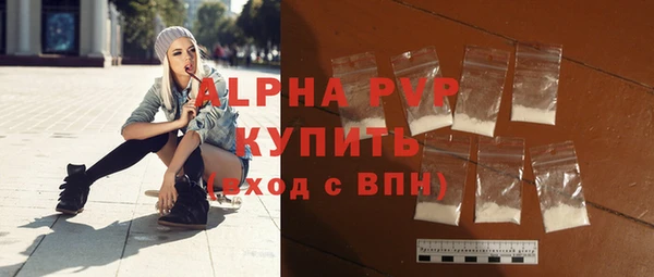 гашик Нефтекумск