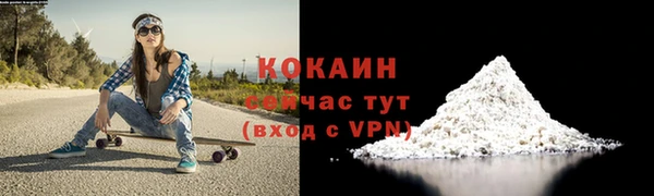 гидра Нея