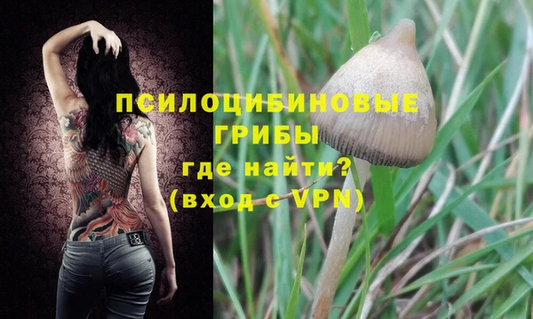 трава Нефтегорск