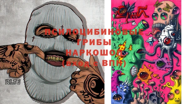 гидра Нея