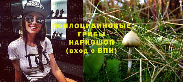 гашик Нефтекумск