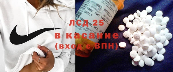 гашик Нефтекумск