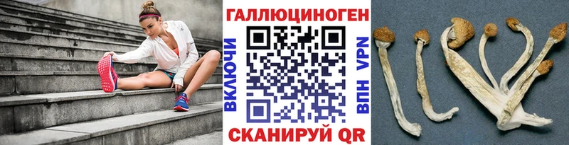 Галлюциногенные грибы мухоморы  Ленинградская 